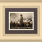 Of Lambs and Shepherds