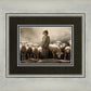 Of Lambs and Shepherds