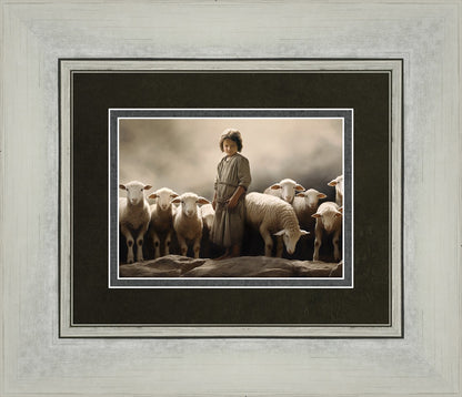 Of Lambs and Shepherds