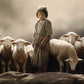 Of Lambs and Shepherds