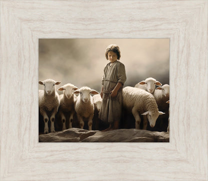 Of Lambs and Shepherds