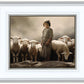 Of Lambs and Shepherds