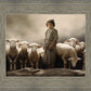 Of Lambs and Shepherds