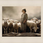 Of Lambs and Shepherds