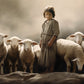 Of Lambs and Shepherds