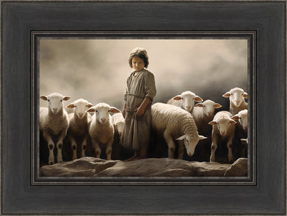 Of Lambs and Shepherds