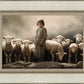 Of Lambs and Shepherds