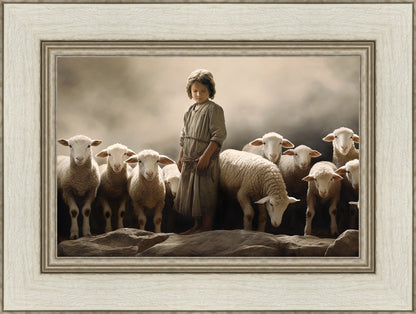 Of Lambs and Shepherds