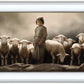 Of Lambs and Shepherds