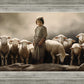 Of Lambs and Shepherds
