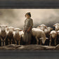 Of Lambs and Shepherds