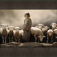 Of Lambs and Shepherds