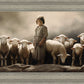 Of Lambs and Shepherds