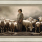 Of Lambs and Shepherds