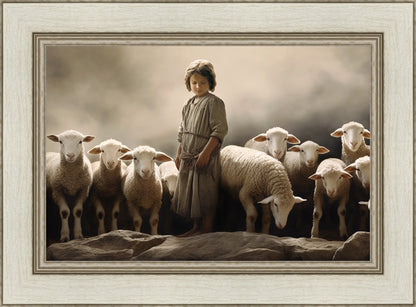 Of Lambs and Shepherds