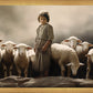 Of Lambs and Shepherds