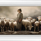 Of Lambs and Shepherds