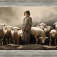 Of Lambs and Shepherds