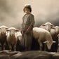Of Lambs and Shepherds
