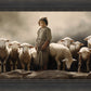 Of Lambs and Shepherds