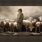Of Lambs and Shepherds