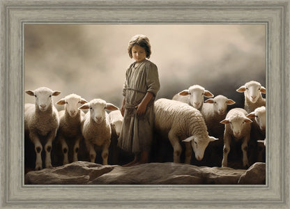 Of Lambs and Shepherds