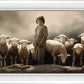 Of Lambs and Shepherds