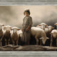 Of Lambs and Shepherds