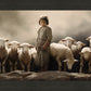 Of Lambs and Shepherds