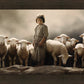Of Lambs and Shepherds