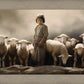Of Lambs and Shepherds