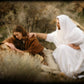 The Comforter