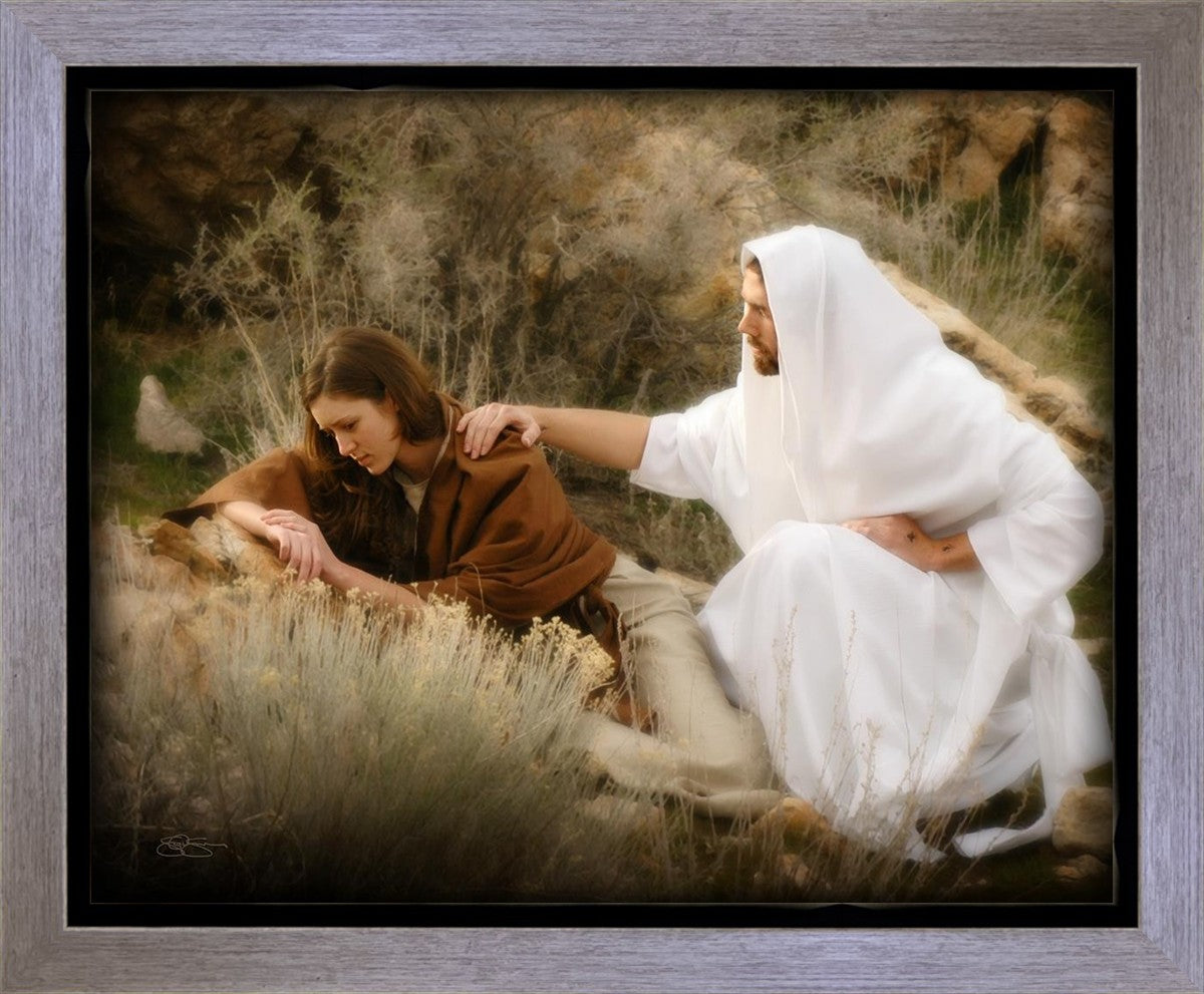 The Comforter