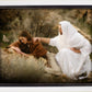The Comforter