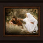 The Comforter