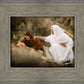The Comforter