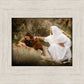 The Comforter