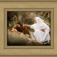 The Comforter