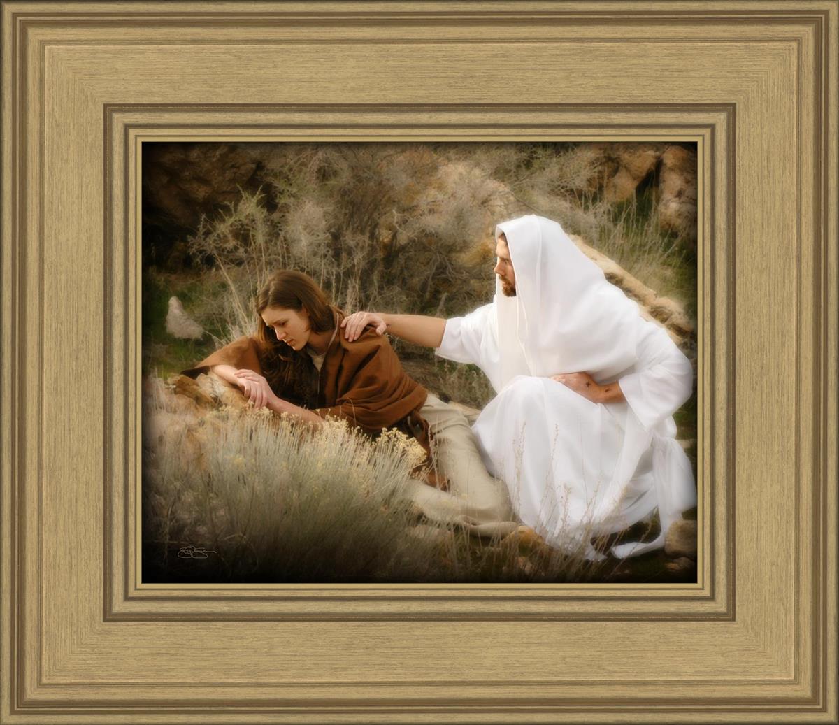 The Comforter