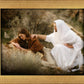 The Comforter