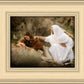 The Comforter