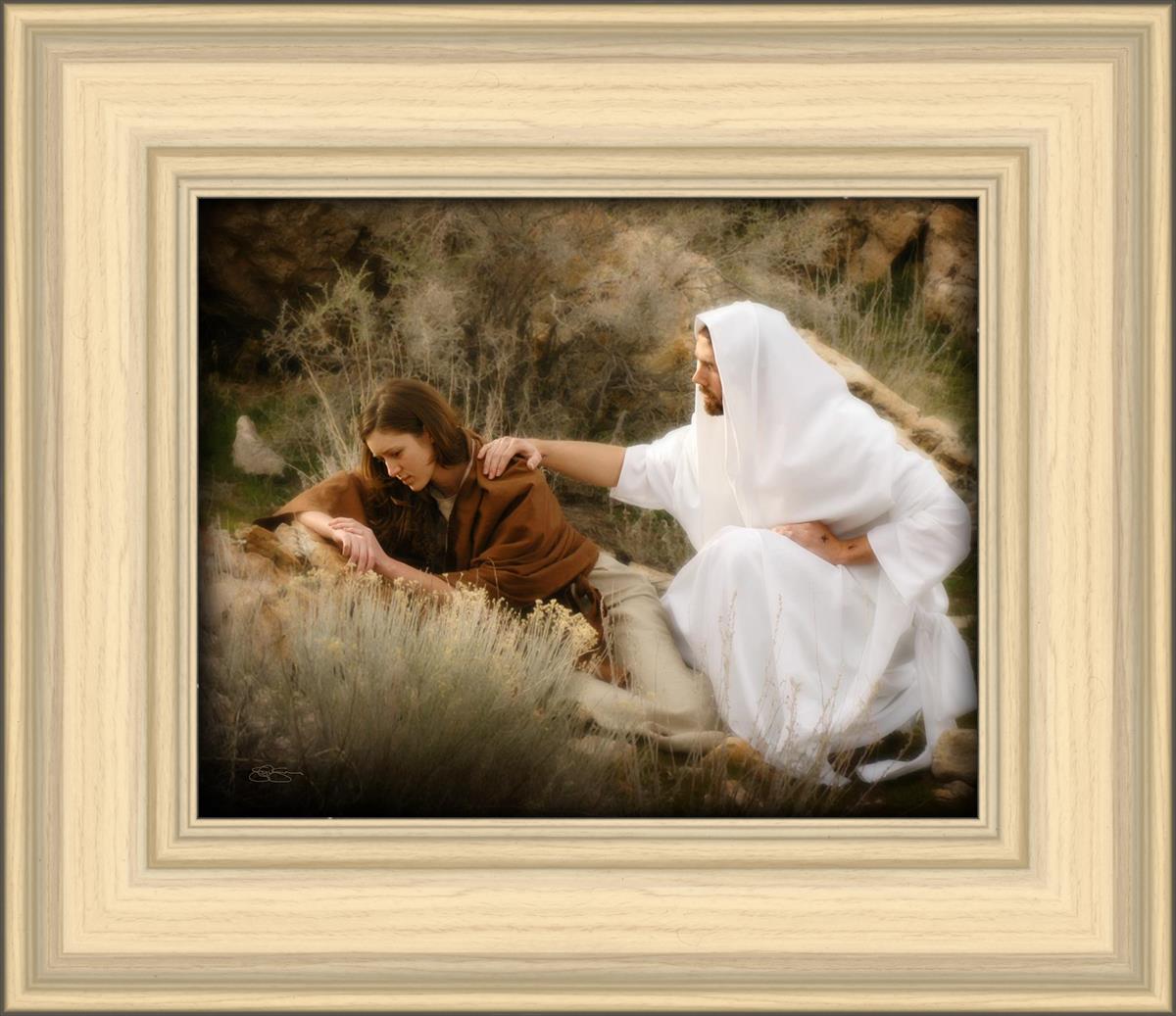 The Comforter