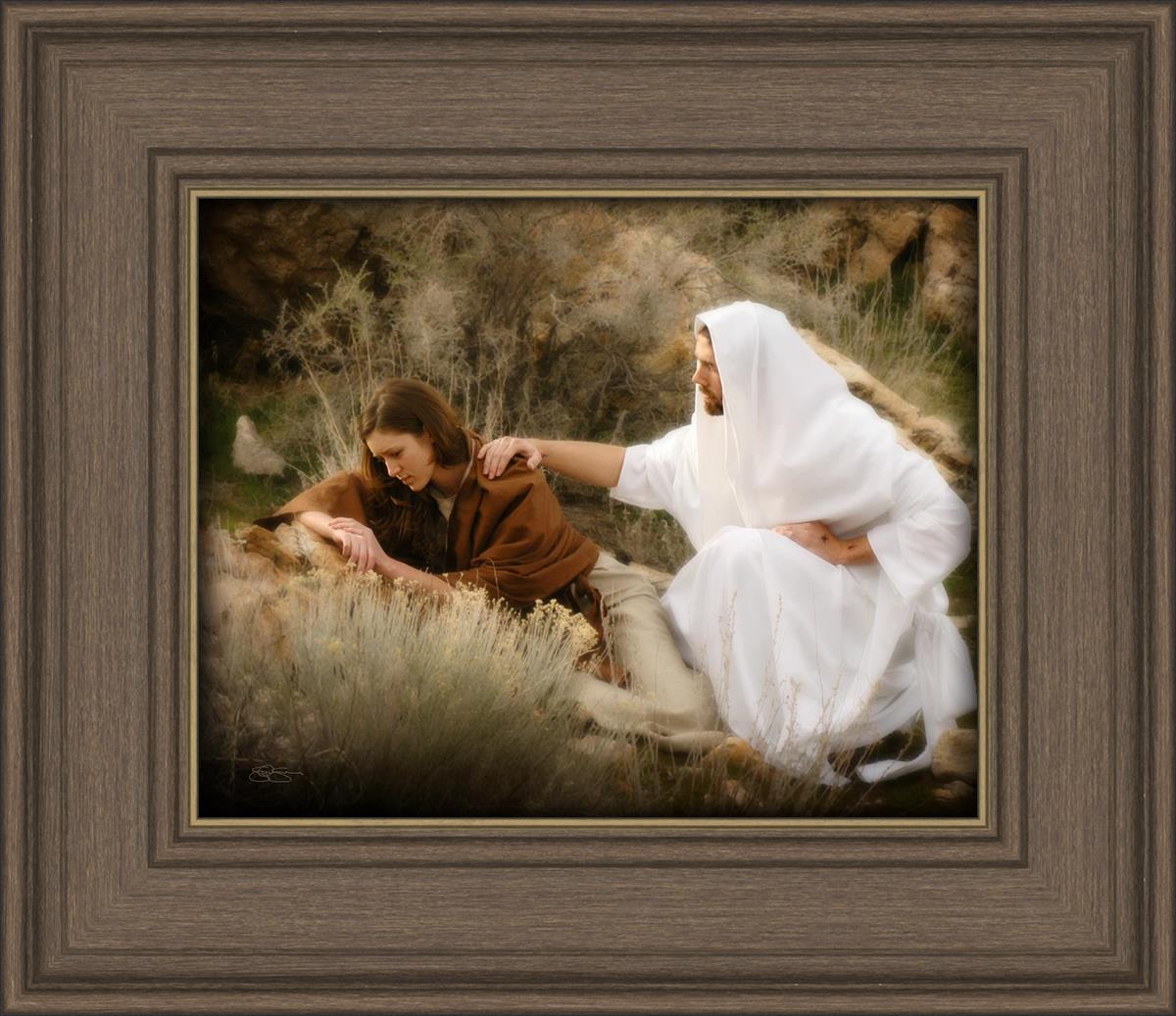 The Comforter