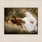 The Comforter