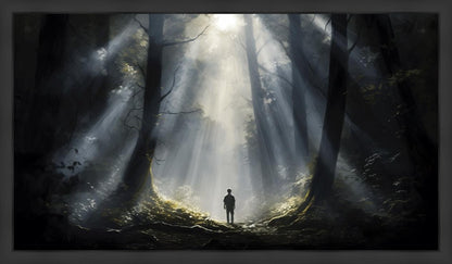 Above The Brightness of The Sun