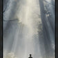 Above The Brightness of The Sun