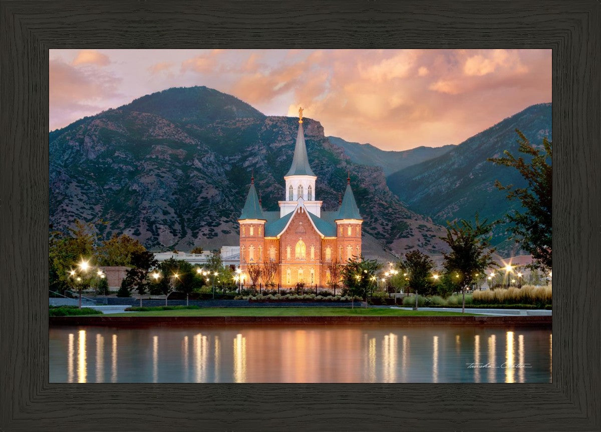 Provo City Center Reflection