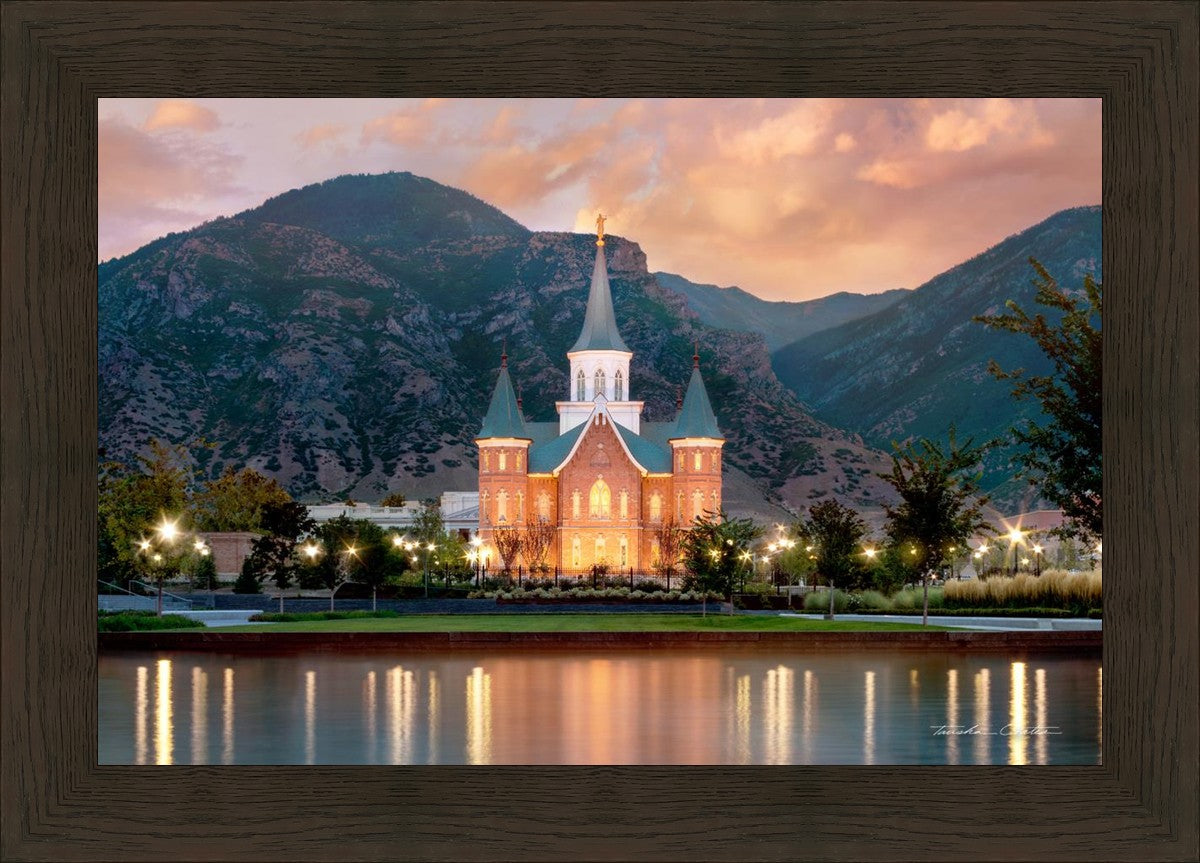 Provo City Center Reflection