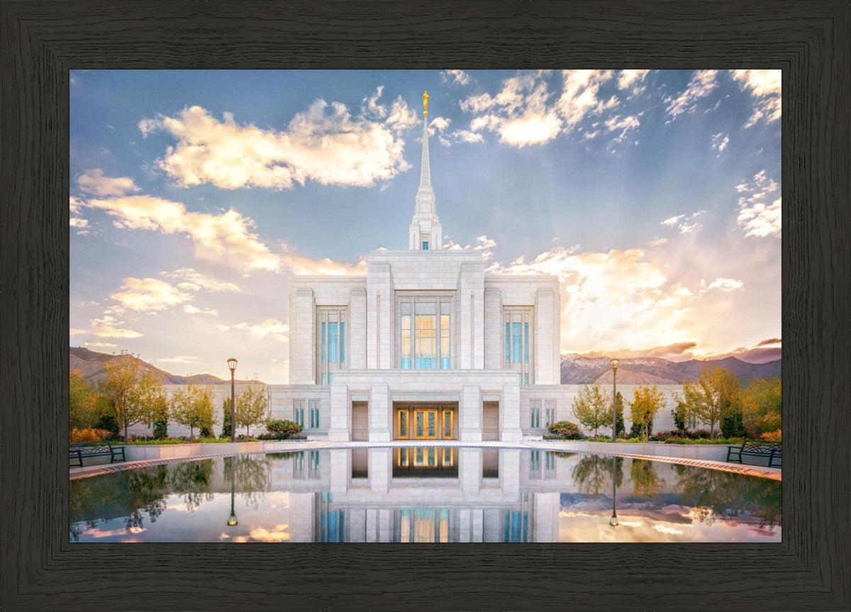 Ogden the Miracle is Coming