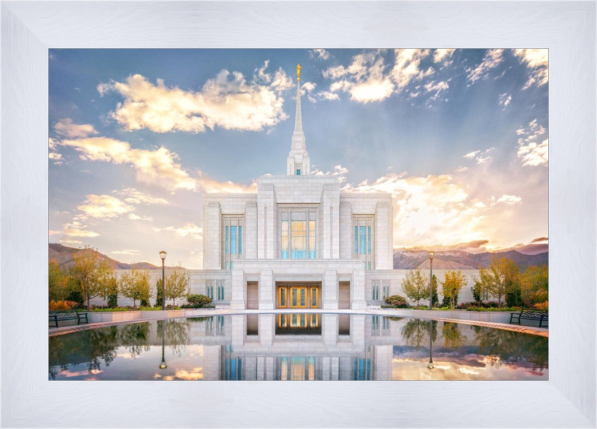 Ogden the Miracle is Coming